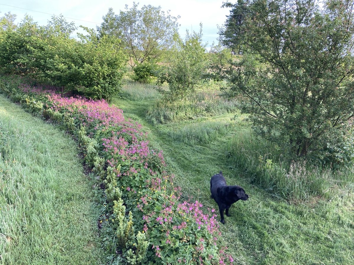 Downloads — Live With Nature Learning Hub route