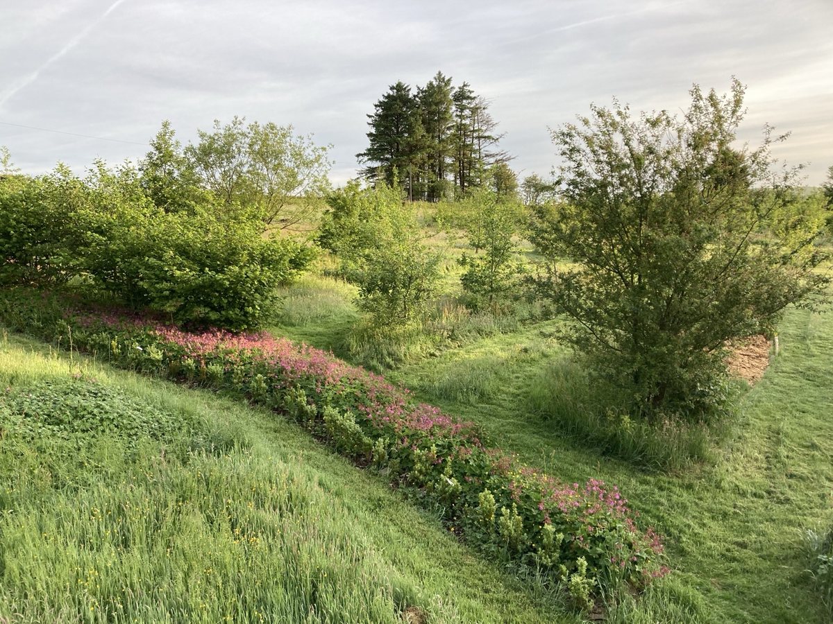 Permaculture Practices — Live With Nature Learning Hub route