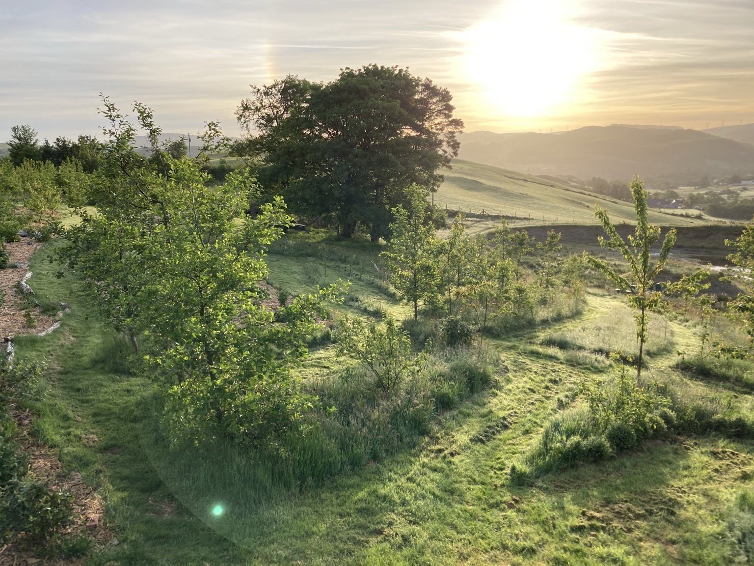 Seasonal Permaculture — Live With Nature Learning Hub route
