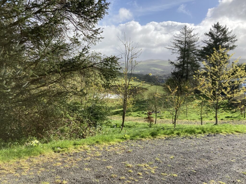 Young orchard planting overlooking the Mid Wales hills at Live With Nature.